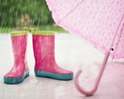 Updated: Ideas for a rainy day