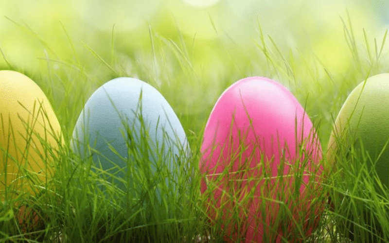 Charity Easter Egg Hunt| Northern Beaches Mum