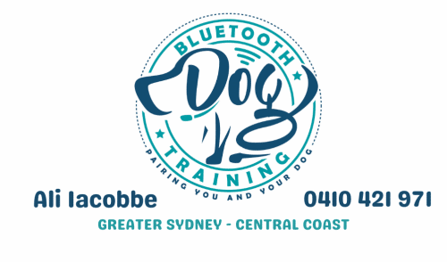 Blue Tooth Dog Training