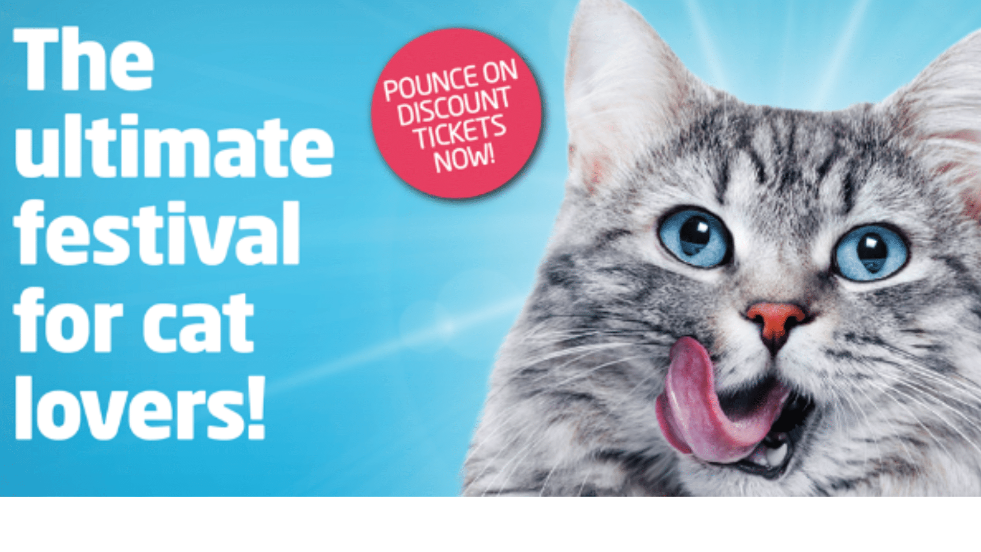 Sydney Cat Lovers Festival 2023 Northern Beaches Mums
