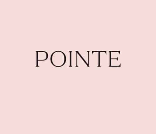 Pointe Hair Company
