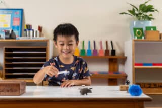 Forestville Montessori School Preschool Program Forestville Montessori School Preschool Program