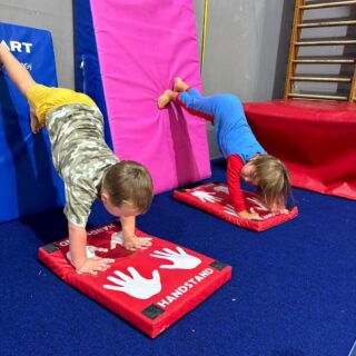 Northern Beaches Gymnastics Academy Northern Beaches Gymnastics Academy