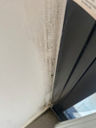 Break The Mould Inspections Break The Mould Inspections