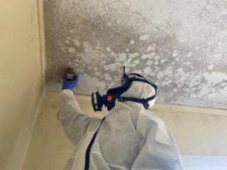 Break The Mould Inspections Break The Mould Inspections