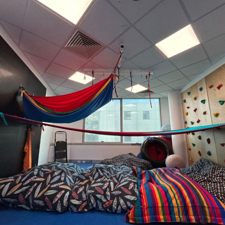 Occupational Therapy Children's Hospital Gym Space
