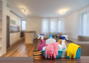 Domestic Services