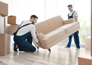 Removal Companies
