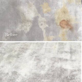 Devine Rug Care Devine Rug Care