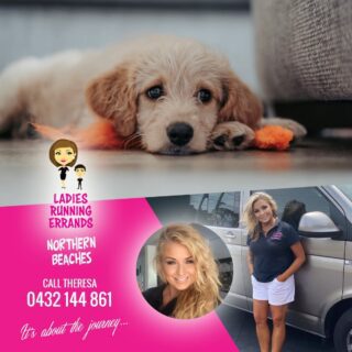 Ladies Running Errands Northern Beaches Ladies Running Errands Northern Beaches