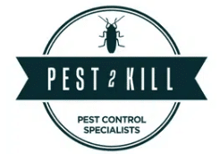 pest 2 kill